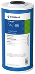 Pentair Pentek Big Blue 10 Inch Carbon Water Filter Replacement Cartridge 12K.... Fixed Price $64.99.