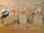 300 Pcs 2ML Plastic Headspace Vials Lab W/ Caps Crimp Top. Fixed Price $42.95.