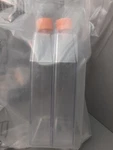 Corning 4314665) .2UM Vented Cap Nonpyrogenic (150CM2) Cell Culture Flask (2). Fixed Price $13.41.