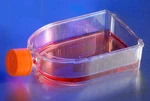 Corning 3290, 75CM U-shaped Cell Culture Flask W/ Cap, 100 Per Case.. Fixed Price $150.00.