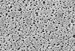 Sartorius 15407--50----MIN Polyethersulfone Membrane Filters Type 0.2. Fixed Price $217.18.
