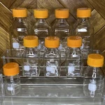Pyrex Corning Glass Bottles Media Storage Beakers Go-alongs Lot. Fixed Price $125.00.