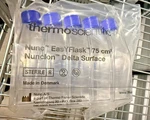 100- Thermo Scientific 156499 Easyflask 75 CM2 Nuncio Delta Surface 20 Pks. Fixed Price $99.99.