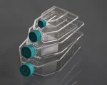 Nest 75CM2 Cell Culture Flask, Vent Cap, 100/CASE, Sterile. Fixed Price $112.00.