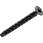 1/4-20 X 2-1/2 Flat Trailer Deck Screws, T30 Star, Black, 100 Qty BCP1221. Fixed Price $23.95.