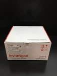 Invitrogen Ref IB301001 Iblot Gel Transfer Stack Nitrocellulose Regular Size. Fixed Price $187.15.