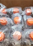 Corning 431533 Square Pet Storage Bottles With 45 Mm Caps 9 /pk. Fixed Price $99.00.