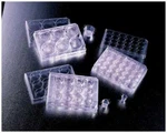 48PC 353095 24-WELL Plate Cell Culture Pet Film 0.4UM Fit For Bd Falcon. Fixed Price $135.00.