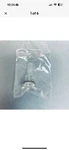Chemglass Schlenk Airfree Adapter Style 15 Mm O-ring Joint 11 Barb. Fixed Price $30.00.