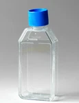 353108 Falcon 25CM2 Rectangular Canted Neck Cell Culture Flask With Vented Cap. Fixed Price $60.00.