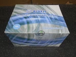 Jet Biofil 10-200 Pipette Tips PMT231200 Zerotip Filter Sterile Box 960. Fixed Price $79.99.