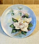 Hp Germany Selb Porcelain Decorative Plate Magnolia 8.5" Artist Pam Sargent Exc. Fixed Price $36.00.
