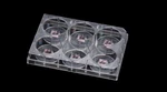 Splscar Block - Confocal Plate 6 Well, Glass 2 Sterile 18/CASE. Fixed Price $145.37.