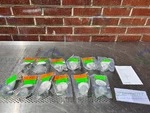 Box Of 12 - Sartorius Stedim 17805 Midisart 2000 Venting Filter Ptfe, 0.20 Um. Fixed Price $200.00.