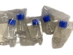 (5) Thermo 125ML Disposable Petg Graduated Flask F-bttm Vented Cap 4115-0125. Fixed Price $43.99.