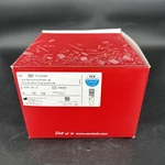 Sarstedt Ref 72.703.600 Micro Tube 1.5ML Protein Lb With Cap 500. Fixed Price $21.25.