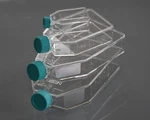 Nest T225 CM2 Cell Culture Flask, Plug Seal Cap, Tc, Sterile 25/CASE. Fixed Price $107.50.