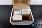 Box Of 30 Greiner Bio-one 655074 Microplate 96 Well White New. Fixed Price $37.50.