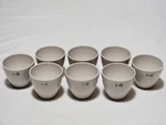 Lot Of 8 Coors Tek Evaporating Crucible Cups 16-0 Porcelain Lab Dishes 60 Ml. Fixed Price $27.95.
