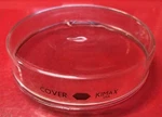 Kimble 23062-10020 Kimax Glass Replacement Petri Dish Cover, 20MM. Fixed Price $20.00.