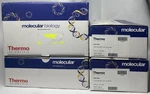 Thermo Scientific Versicap Mat, 96-WELL, Flat Strips AB-1815 4 Boxes. Fixed Price $125.00.