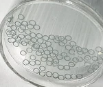 100X Kimble Capillary Tube 1.5 1.8 100MM Borosilicate Glass Art No. 34500-99. Fixed Price $31.75.