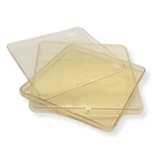 Bd Falcon Nunc Square Bioassay Cell Culture Dish 241 20MM, Gridded, Lids, 5 Pack. Fixed Price $12.99.
