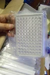 Wallac 1450-516 Isoplate Tc 96 Well Sample Tissue Culture Grade 24 Count. Fixed Price $129.99.