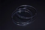 New Case Of 100PCS Celltreat 229651 Sterilized Tissue Culture Dishes 150MM A7A. Fixed Price $150.00.