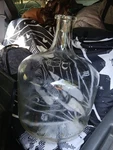 Pyrex Corning #1595 Glass Carboy 12 Gallon Solution Bottle For Lab. Fixed Price $300.00.