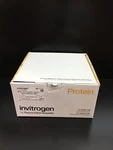 Invitrogen Ref IB301002 Iblot Gel Transfer Stacks Nitrocellulose Mini. Fixed Price $168.43.