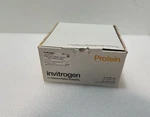 Invitrogen IB301002 Iblot Gel Transfer Stacks. Fixed Price $104.50.