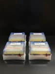 Eppendorf Cat No 0030077830 Dualfilter Tips Sealmax 200UL Lot 4 Racks. Fixed Price $84.33.