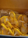 Millipore Ref SLGV033NS Millex Pvdf Syringe Driven Filter 0.22 33MM 2016. Fixed Price $75.00.